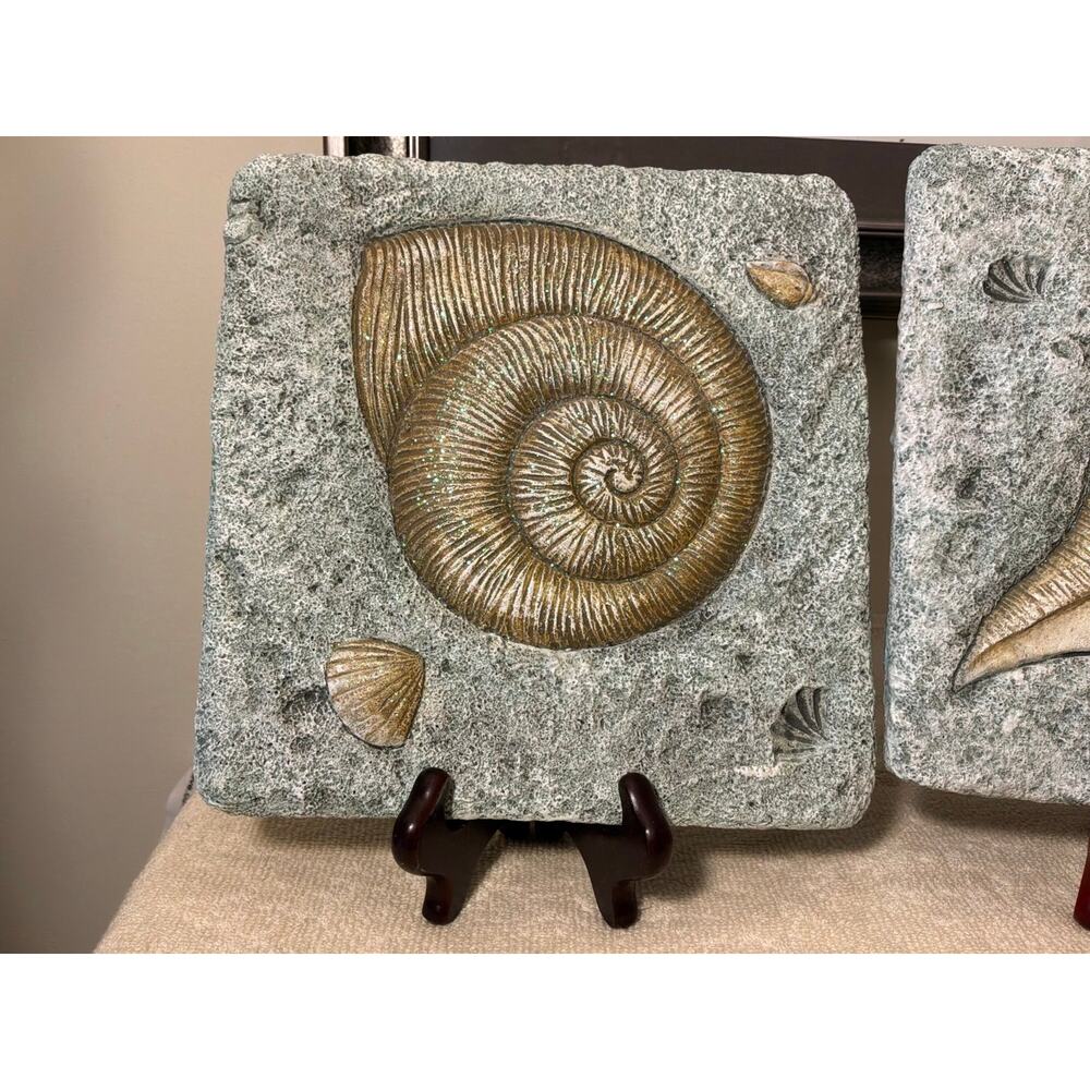Wall plaques / Sea Shells - Picture 3 of 6